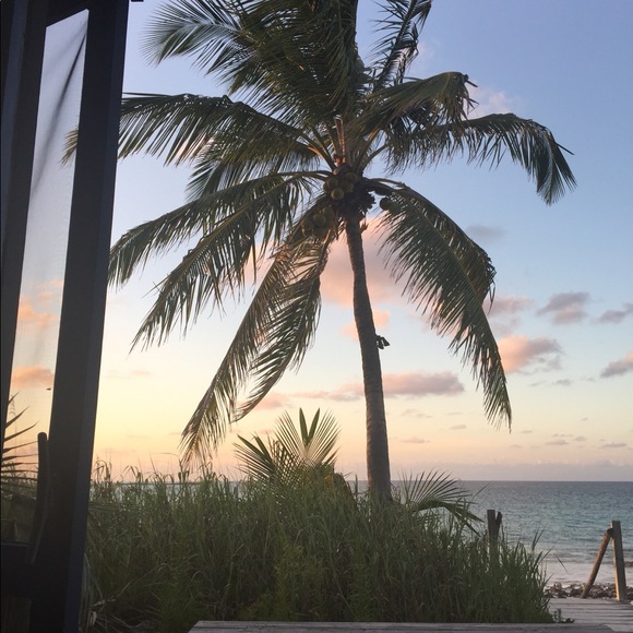 Happy Poshing! - Picture 6 of 13